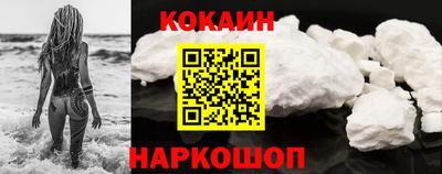 бошки Кингисепп