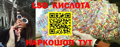 бошки Кингисепп