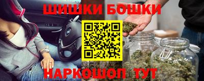 бошки Кингисепп