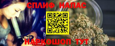 бошки Кингисепп