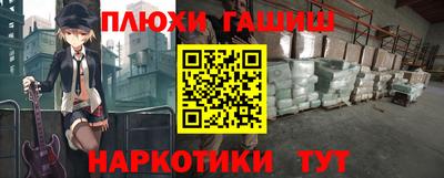 бошки Кингисепп
