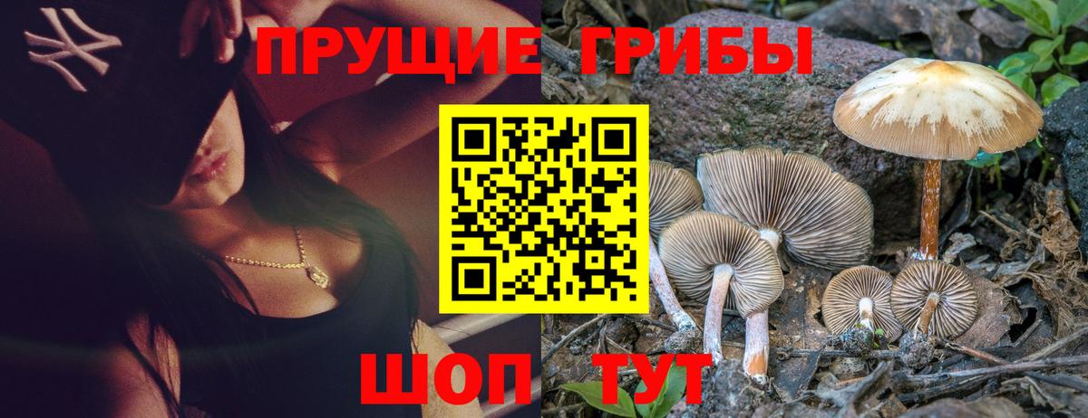 Крымск  Псилоцибиновые грибы ЛСД  Вход с VPN 