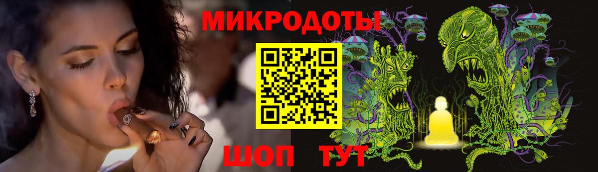 Псилоцибиновые грибы Psilocybe Крымск